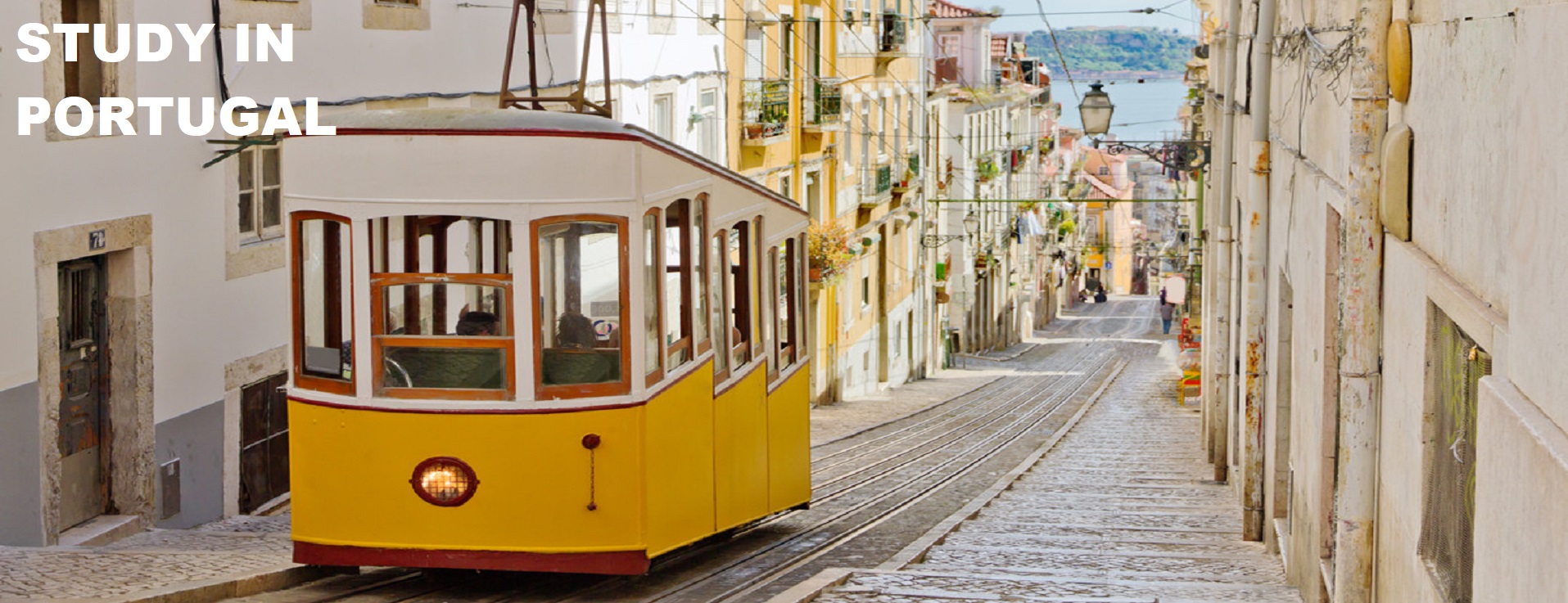 Portugal Study Visa Consultants Delhi Study And Work Portugal 