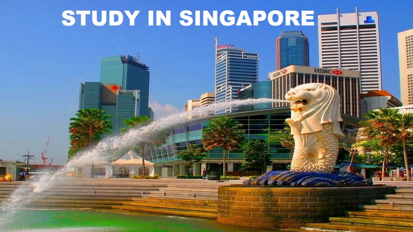 C-Singapore-1