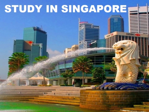 C-Singapore-1