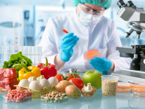 Food quality control expert inspecting specimens of groceries in the laboratory