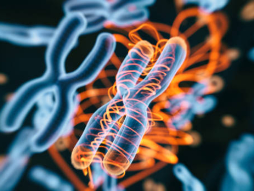 Abstract Genetics Disease - 3d rendered image. Hologram view. SEM (TEM) macroscope image. DNA mutations. Vexas disease. Medicine Healthcare research concept. X chromosomes objects.