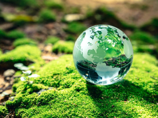 Crystal globe putting on moss, ecology and environment sustainable concept.