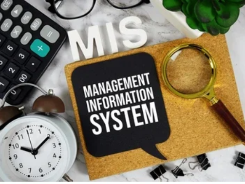 mis-management-information-system-acronym-260nw-2566977301