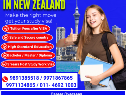 New Zealand 11.8.25