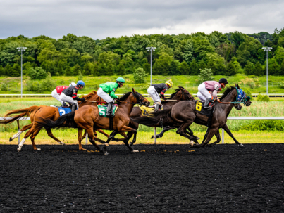 horse-course-feature