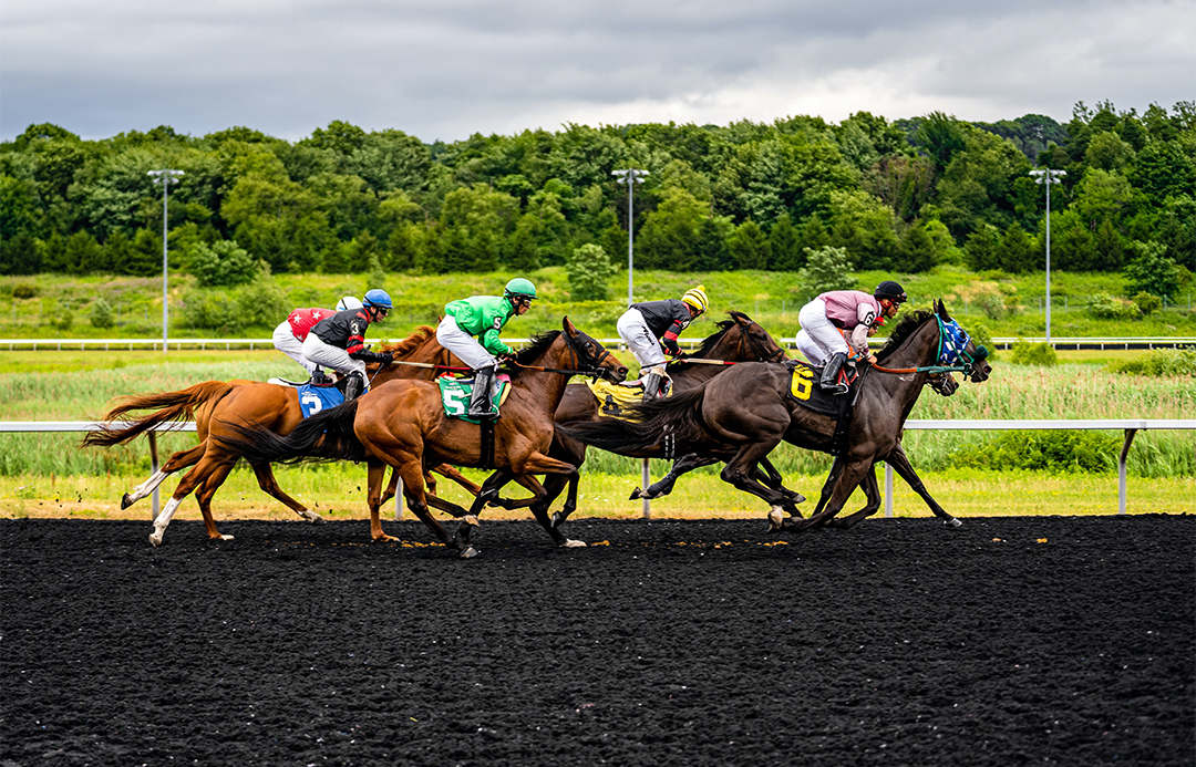 horse-course-feature